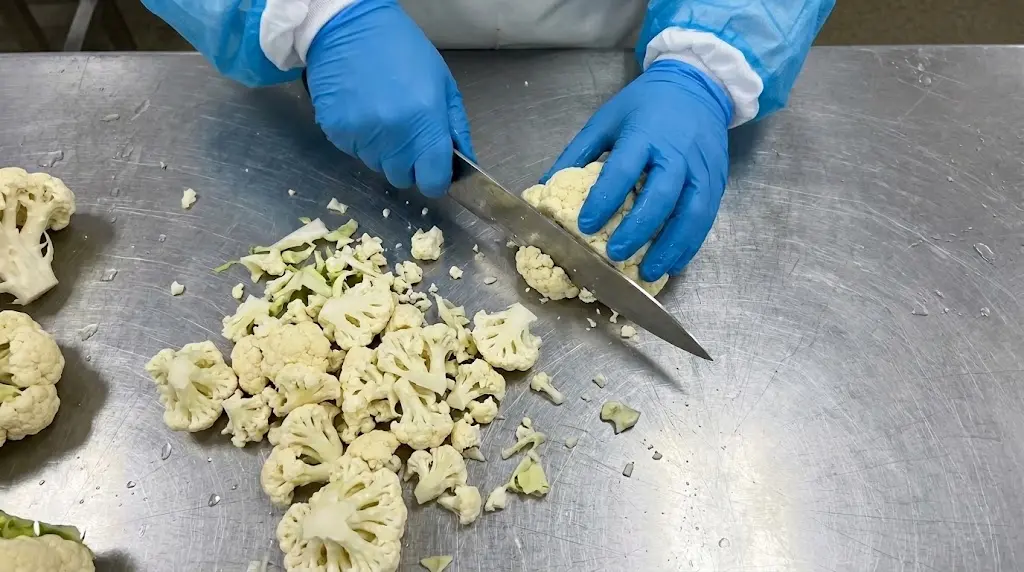 Cauliflower being cut into florets by hand on a steel table