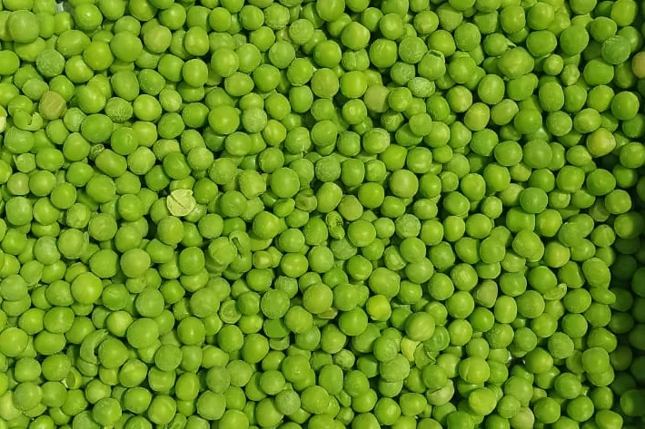 IQF green peas, frozen and free-flowing, in a steel tray